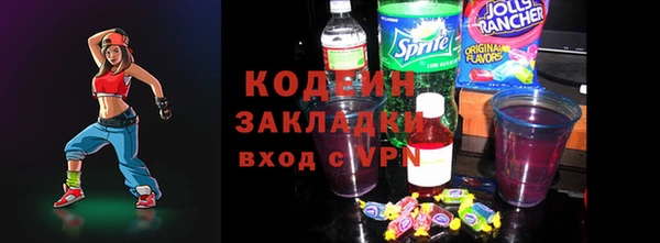 индика Дмитриев